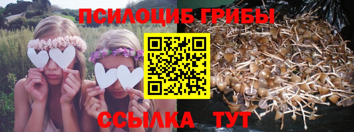 Псилоцибиновые грибы мухоморы Шахты