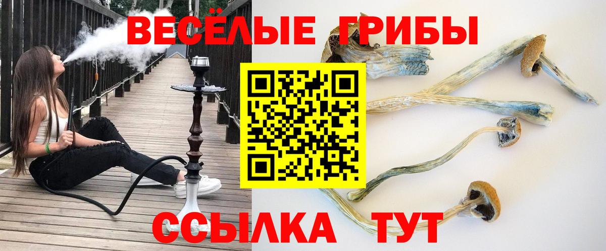 Галлюциногенные грибы ЛСД  Вход с VPN  Шахты  Галлюциногенные грибы MAGIC MUSHROOMS 